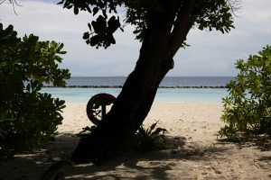 maldives dry