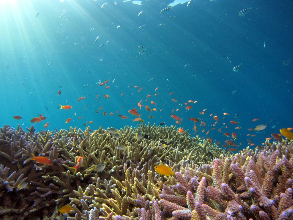 ocean travel