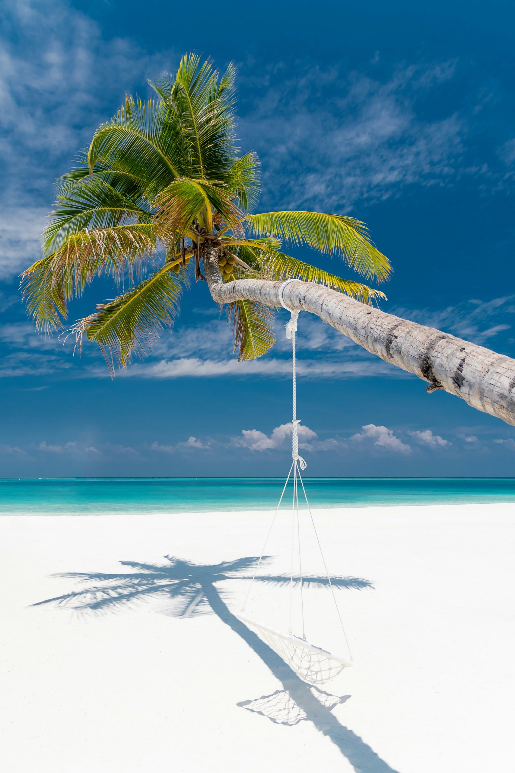 tropical beach bliss
