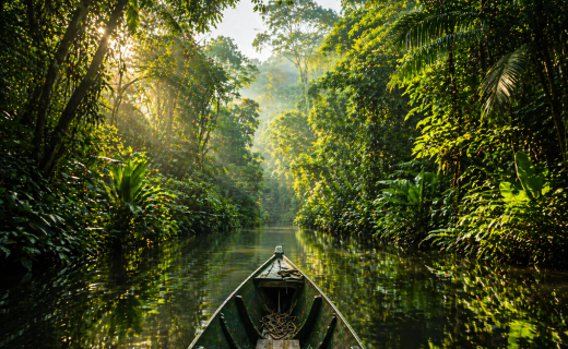 amazon rainforest river canoe adventure