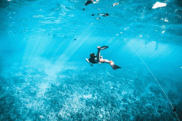 snorkelling clear